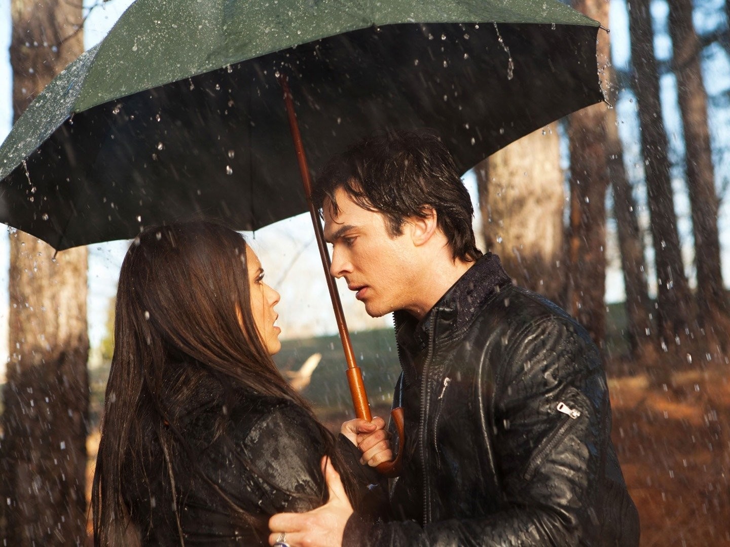 the vampire diaries 1x17